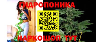 MDMA Premium VHQ Аргун