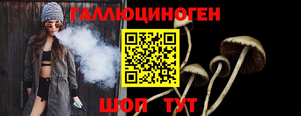 купить наркотик  Псилоцибиновые грибы MAGIC MUSHROOMS  Вход с VPN  Барнаул 
